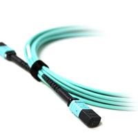 Acconet Patch Lead 12Core MPO Female to MPO Female 5M