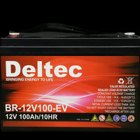 Deltec AMG 12V 100Ah Lead Acid  Battery | DT-12-100EV