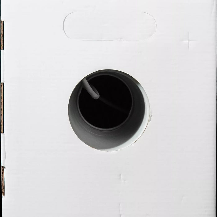 ESSENTIAL CAT5E Ethernet Cable 100m UTP Solid Copper Pull Box | CAT5-100-GEN-SC | Indoor Networking Solution