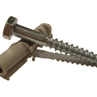 Coach Screw with Wall Plug