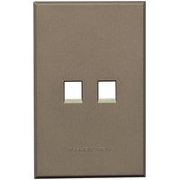 Major Tech Dual Data Cover Plate BZ (100mmx50mm) 3VP135B