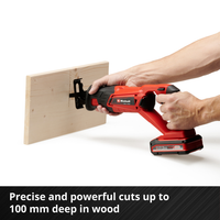 EINHELL RECIPROCATING SAW 18V TE-AP 18 Li-Solo Cordless Power Tool. View at chavda.com!
