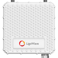 Ligowave PTMP RapidFire 600 Mbps Carrier Subscriber Unit with N-Type connectors.