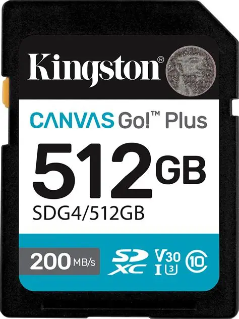 Kingston 512GB SDXC Canvas Go Plus Gen4 200MB/s C10 UHS-I U3 V30-SDG4/512GB