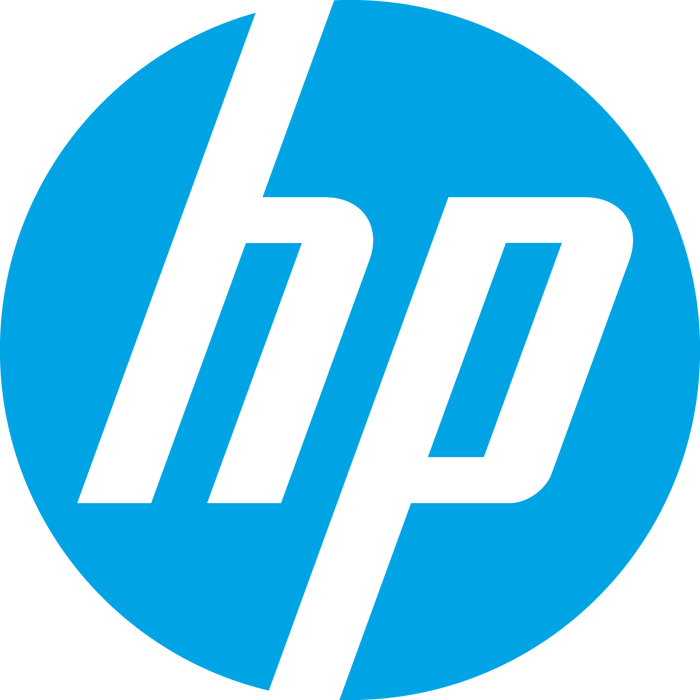 HP 290 G9 TWR / CELERON 6900 / 4GB / 1TB HDD / WINDOWS 11