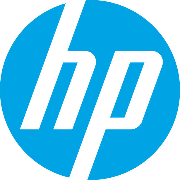 HP 290 G9 TWR / CELERON 6900 / 4GB / 1TB HDD / WINDOWS 11