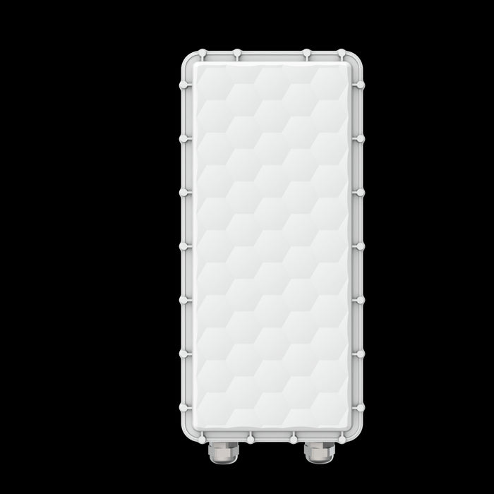 Ligowave PTMP RapidFire 600 Mbps Carrier base-station with N-connectors