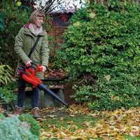 Einhell:18V Cordless Leaf Blower GE-LC 18 Li E Solo
