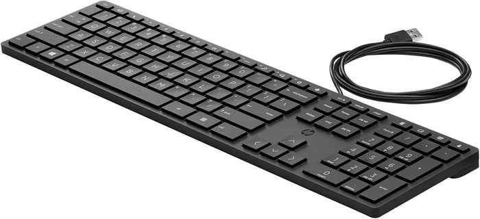 HP 320K USB WIRED DESKTOP BLACK KEYBOARD,9SR37UT