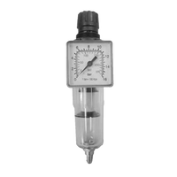 ANI1235 - ANI REGULATOR FILTER 1/4