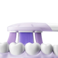 Xiaomi Oscillation Electric Toothbrush Pro Replacement Heads (Soft)-BHR07ZRTY