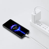 Xiaomi 6A Type-A to USB Type-C Cable-BHR6032GL