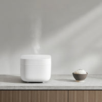Xiaomi Smart Multifunctional Rice Cooker-BHR7919EU