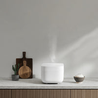 Xiaomi Smart Multifunctional Rice Cooker-BHR7919EU