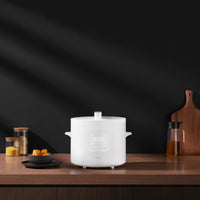 Xiaomi Electric Pressure Cooker 4.8L-BHR8845EU