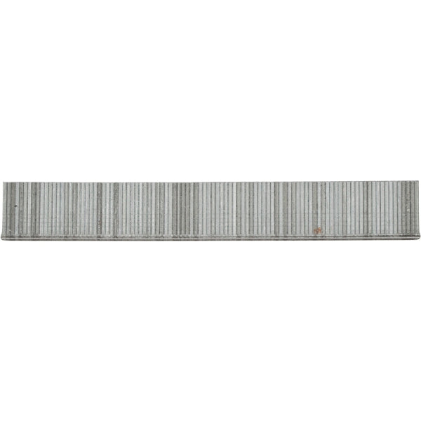 BRAD20GEL20F20