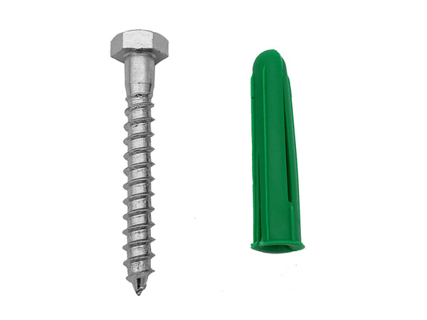Coach Screw with Wall Plug