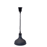 BCE Decorative Food Display Lamp (Matt Black) New + Globe- DDL1000