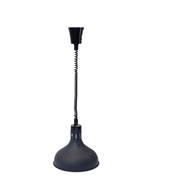 BCE Decorative Food Display Lamp (Matt Black) New + Globe- DDL1000