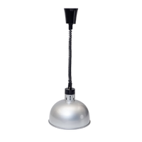BCE Decorative Food Display Lamp (Matt Silver) New + Globe - DDL1001