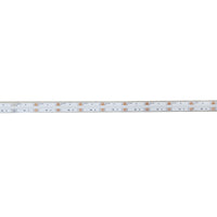 Major Tech RGB Linear COF Strip Light (IP67) | DF10W-24RGB - image 1