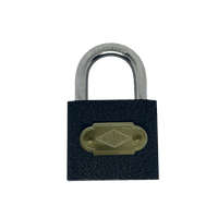 ESCO479 - PADLOCK ESCO IRON 38MM BLISTER