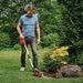 Einhell GE-CG 18/100 Li T-Solo Cordless Grass & Shrub Shear: Power X-Change, Telescopic Handle, Hedge Trimmer