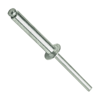 FAS4812 - RIVET FASCOR AS4812 4.8X12MM P/100