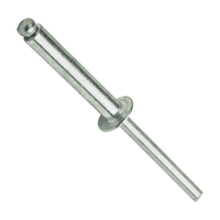 Rivet Fascor As4812 4.8X12Mm P/100 FAS4812