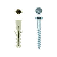 FAS6935 - SCREW COACH +PLUG M6X50 P/5