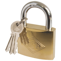 Padlock Mts Brass Plated P/P 60 Mm Hon5015