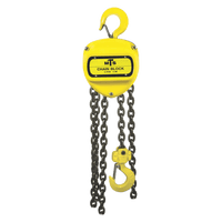 Hoist Mts Chain 1.0 Ton 2.5 M Lift Std Hyc0010