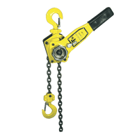 Hoist Mts Lever 3.0 Ton 1.5 M Lift Std Hyc1020
