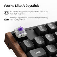 Keychron K10 HE 100% Wireless Magnetic Gaming Keyboard Nebula Switches – Black-K10H-F1 Keychron