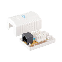 CAT6 SINGLE WALL BOX (LE-S023-C6) - NET-CAT6WALL-C6