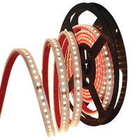 Major Tech 1183 Lm/m LED Strip Light ( IP65) | MCS1098-24DW20R - image 1