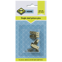 Mts Home Picture Pins Single Steel P/6 Mts0016
