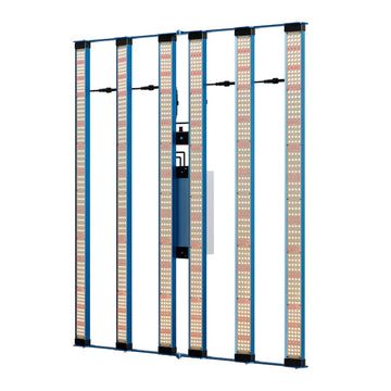 KingBrite