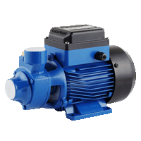 C.R.I. Pumps PEM-7N Peripheral Pump: 230V Single Phase Water Pump for Sale | Buy Online