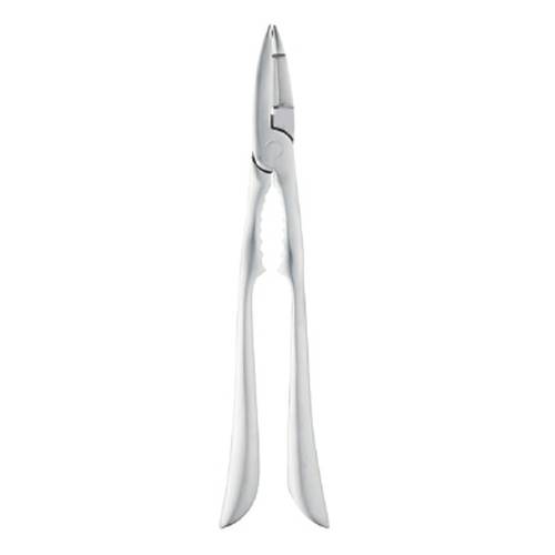 PINTINOX Esclusivi Seafood Cracker (1) - PN074000AG