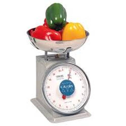CAMRY Portion Scale Mechanical - 4Kg (With Bowl) - PSM0005