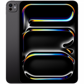 11-INCH IPAD PRO WIFI + CELLULAR 256GB WITH STANDARD GLASS - SPACE BLACK - MVW13