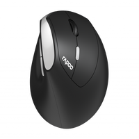 EV250 - Ergo  wireless optical mouse - RAPOO EV250