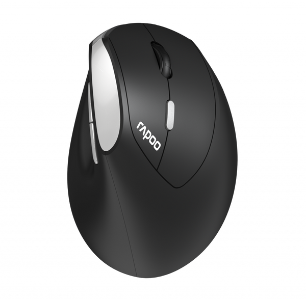 EV250 - Ergo  wireless optical mouse - RAPOO EV250