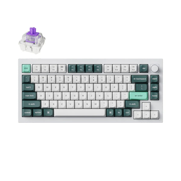 Keychron Q1H-P1: Wireless QMK Custom Keyboard with Hall Effect Switches & CNC Aluminum Build. Premium Keyboard. Gateron Jupiter Red