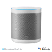 Xiaomi Smart Speaker-QBH4190GL