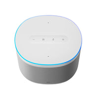 Xiaomi Smart Speaker-QBH4190GL