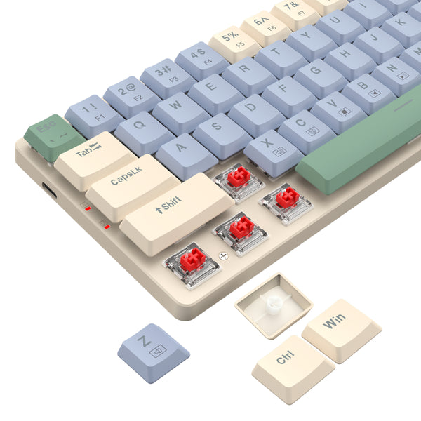 Redragon BS8772 Wireless Keyboard and Mouse Combo - Cream/Blue-RD-BS-8772CB