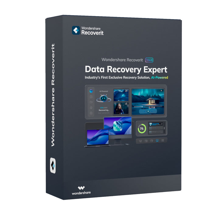 Wondershare Recoverit Data Recovery Expert for Windows Individual (Digital Annual License)-RT001
