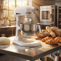 PMK0066 - PLANETARY MIXER KITCHENAID - 6.6LT PROFESSIONAL